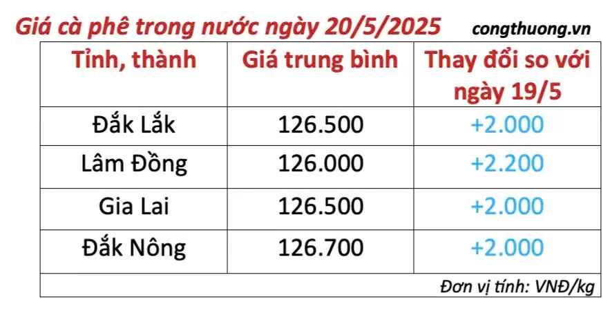 Dự báo giá cà phê ngày mai 21/5/2025, thị trường phục hồi