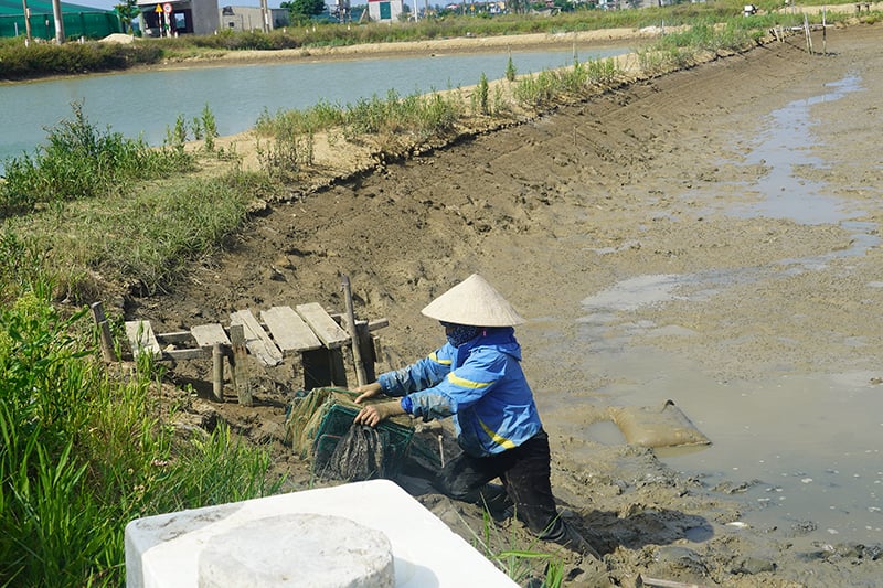 Bà con huyện Bố Trạch chuẩn bị cho vụ nuôi trồng thủy sản mới.