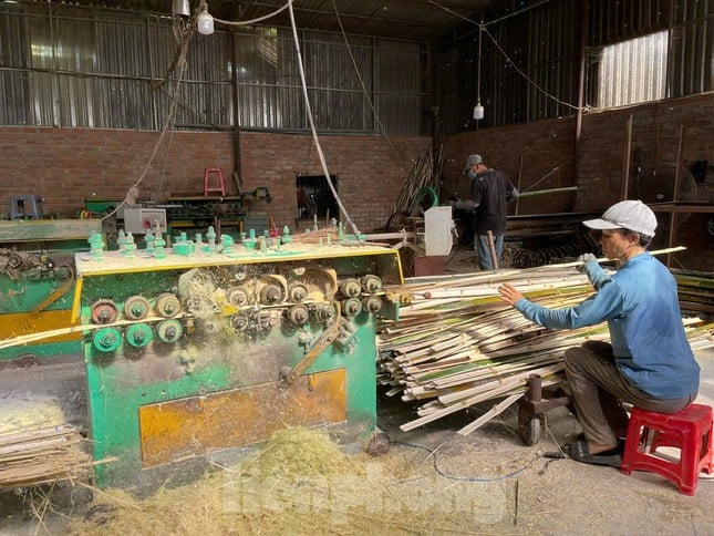 Binh Dinh gasta más de 6 mil millones de VND en capacitación vocacional agrícola para trabajadores rurales. Foto 1