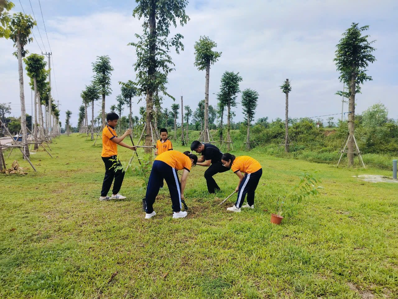 TRỒNG CÂY XANH