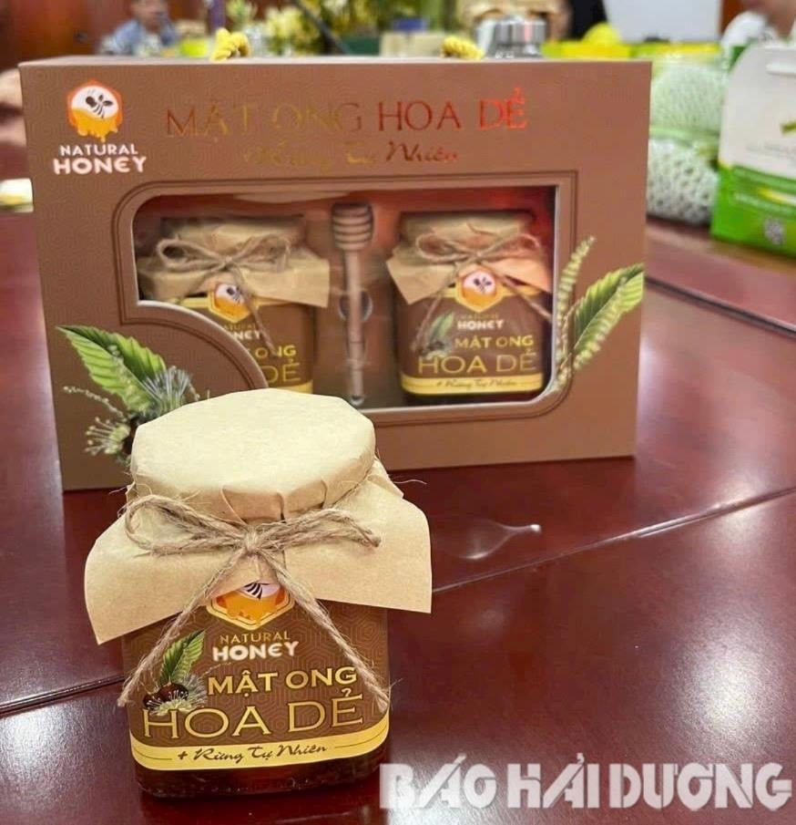 Sản phẩm mật ong hoa dẻ rừng của Công ty CP Ong mật Việt Ý (phường Cộng Hòa) được Hội đồng đánh giá, phân hạng sản phẩm OCOP TP Chí Linh đánh giá cao (ảnh cơ sở cung cấp)