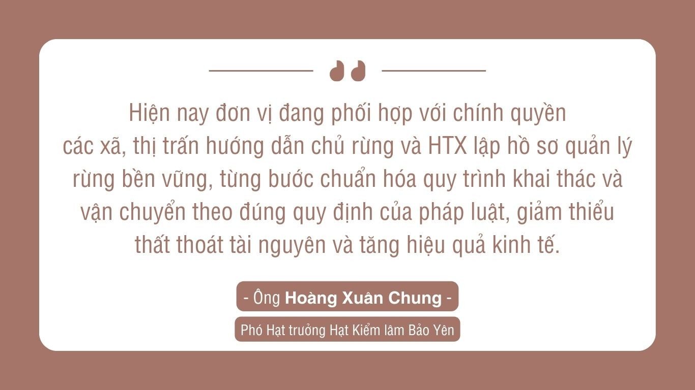 ការច្នៃប្រឌិតក្នុងបច្ចេកវិទ្យាកែច្នៃឈើបង្កើនតម្លៃសេដ្ឋកិច្ចពី Forests.jpg