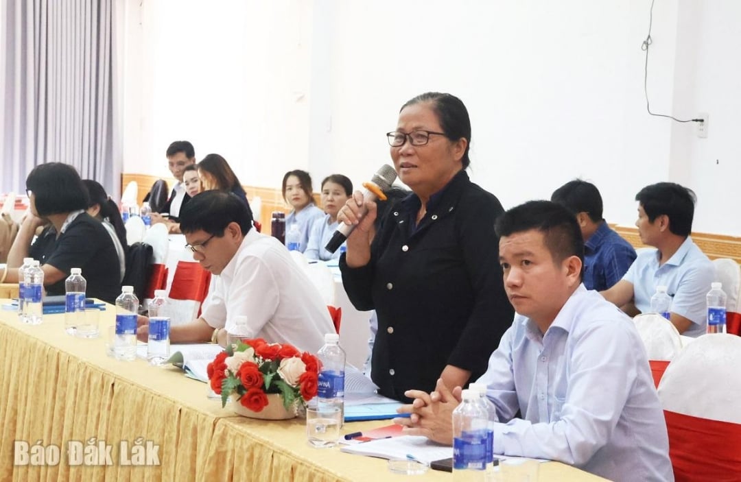 Đại biểu thảo