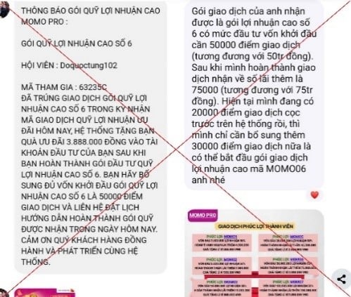 MoMo lên tiếng sau vụ người dân mất tiền khi đầu tư trên "MoMo Pro"- Ảnh 2.