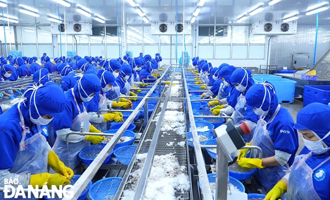 Production activities at Thuan Phuoc Seafood and Trading Joint Stock Company. Photo: MAI QUE