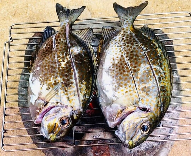 Món ngon Bình Định: Cá dìa nướng mọi - Ảnh 1.