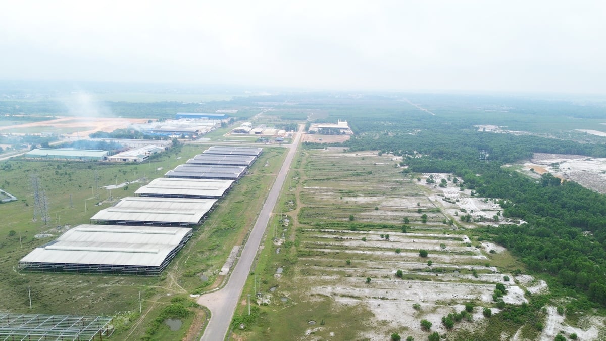 La Fase 3 del Parque Industrial Quan Ngang tendrá una escala de más de 116 hectáreas. Foto: Ngoc Tan