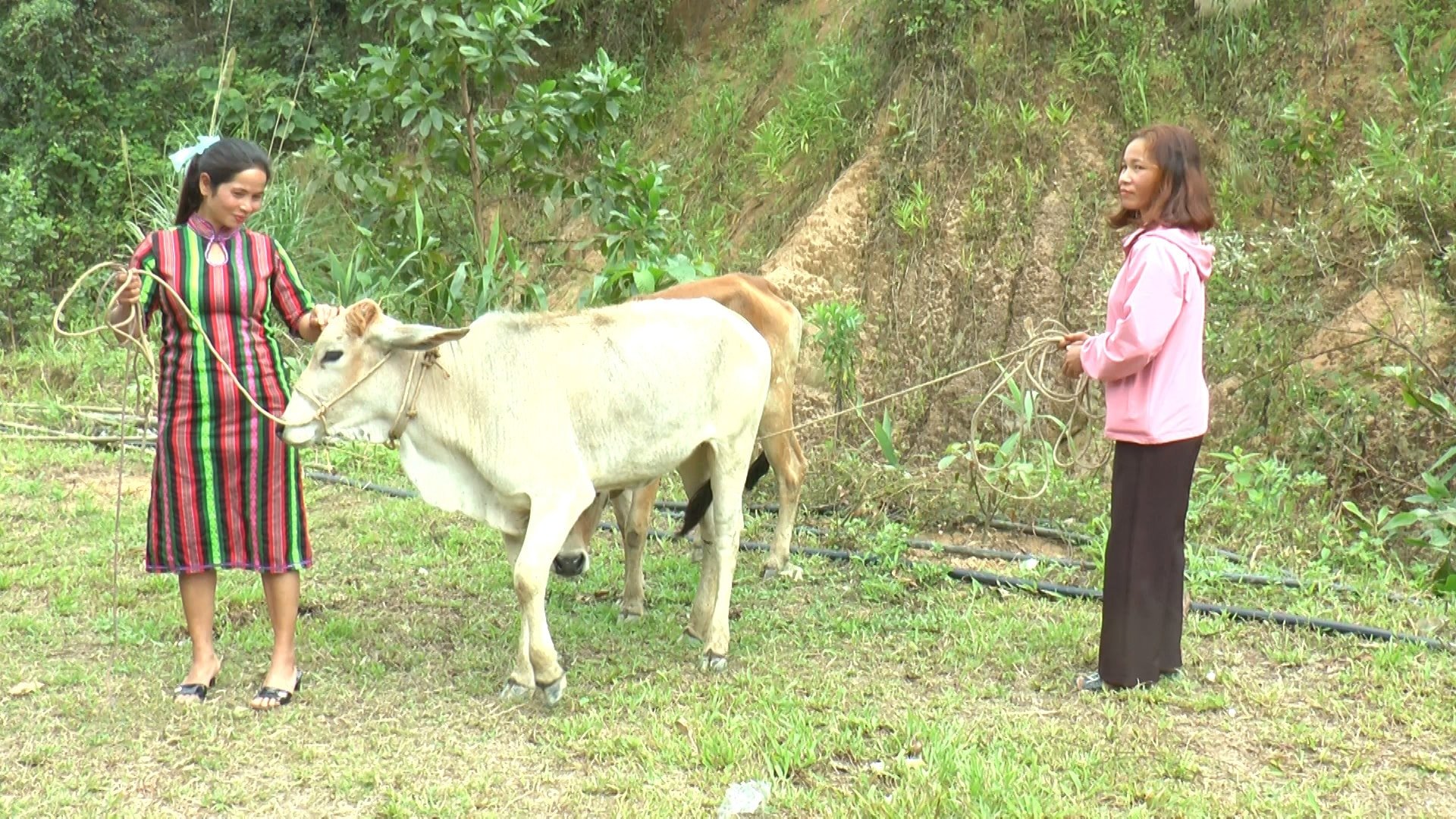 ការ​ផ្តល់​កំណើត​ដល់​មនុស្ស (1).jpg