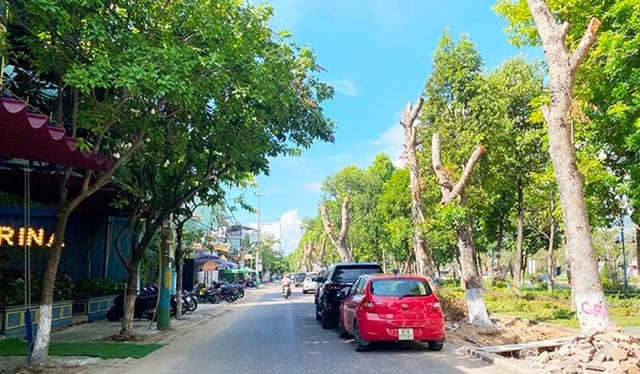 Tuyến phố Đô Đốc Bảo, TP Quy Nhơn.