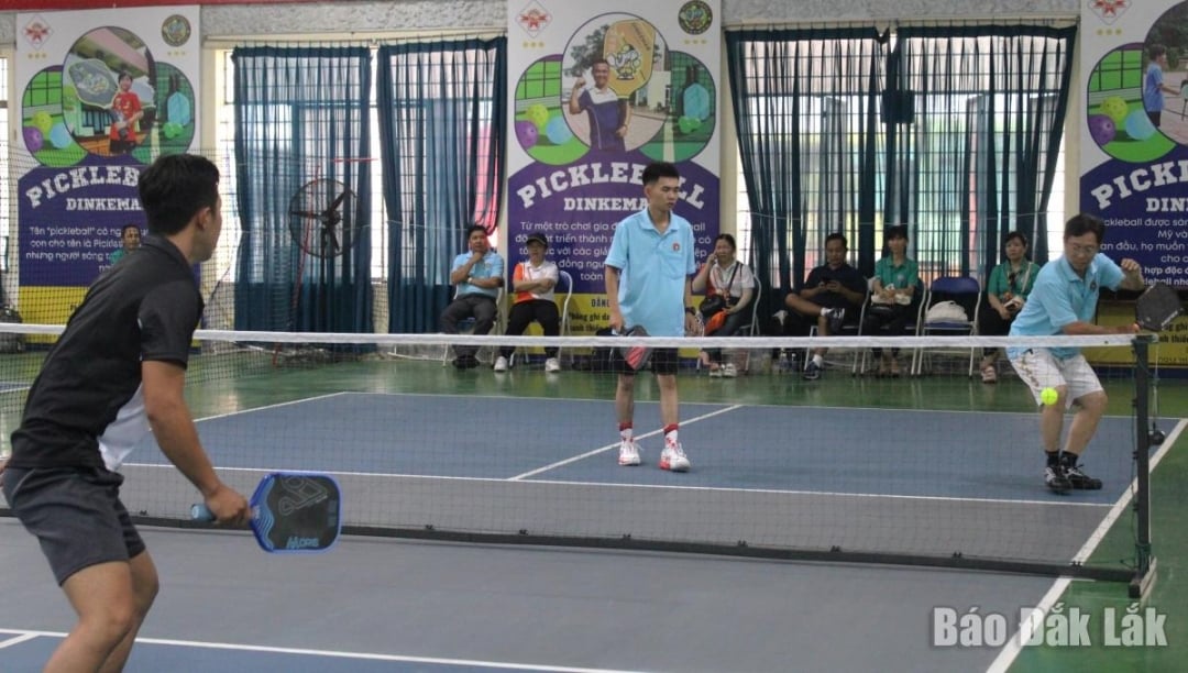 Các đội tham gia thi đấu Pikelball.