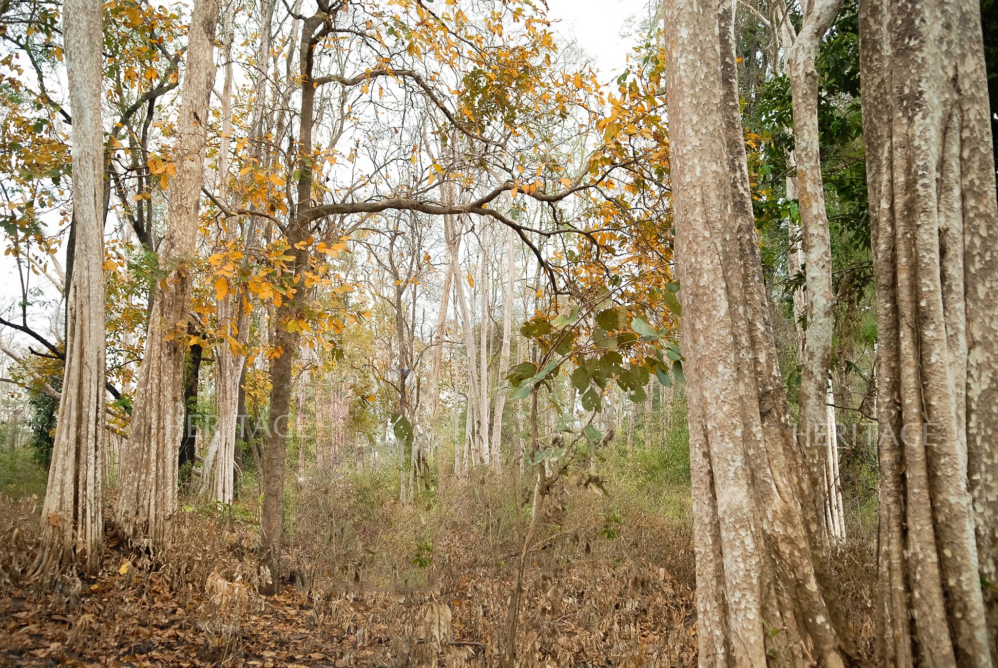 Experience green tourism in Vietnam's National Parks