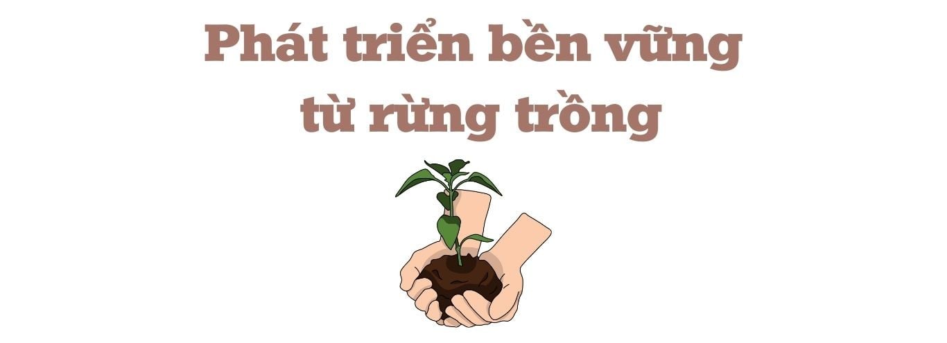 ៤.jpg