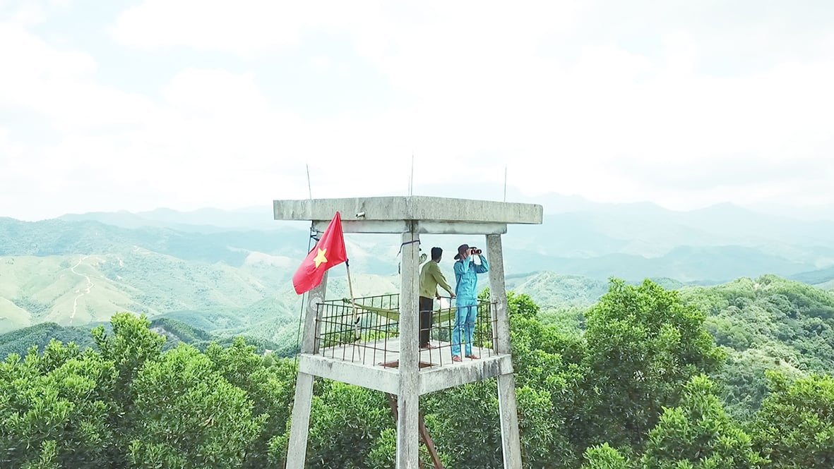 Un punto brillante en el trabajo de protección forestal