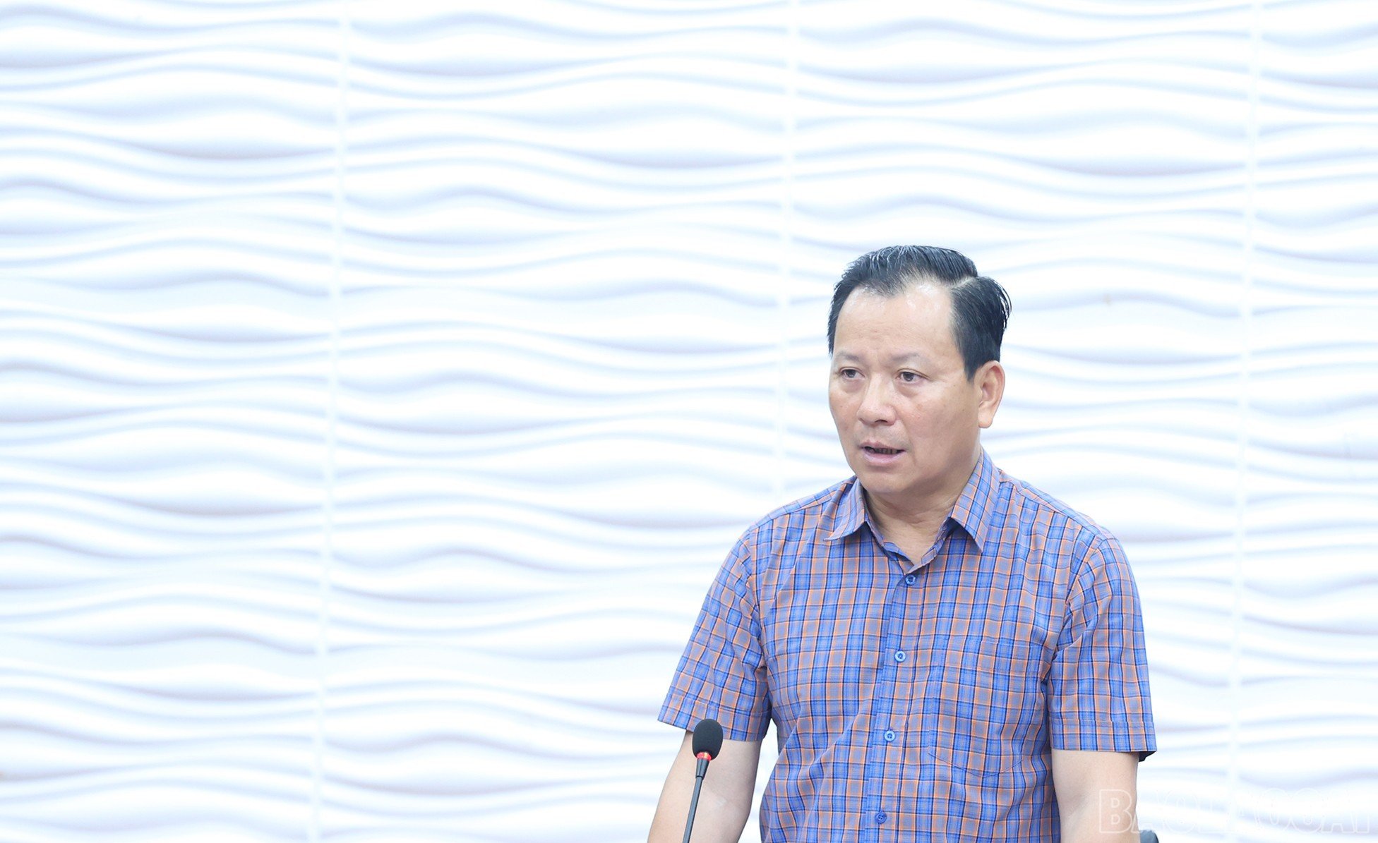 baolaocai-br_img-9318.jpg