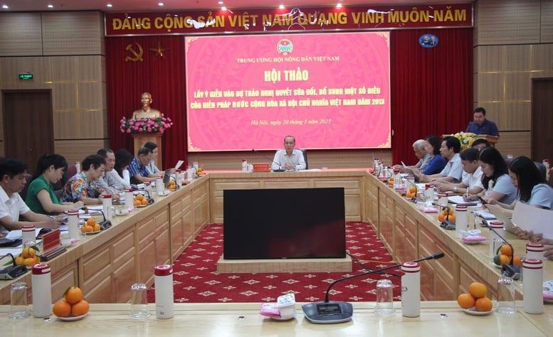Hội Nông dân Việt Nam góp ý sửa đổi Hiến pháp 2013- Ảnh 1.