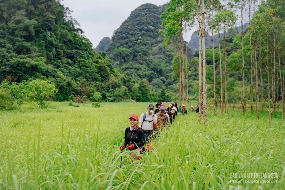 Đoàn khảo sát của Trung tâm Xúc tiến Đầu tư Thương mại và Du lịch phối hợp với các đơn vị đối tác khảo sát khu vực đường vào rừng đặc dụng Hữu Liên, huyện Hữu Lũng