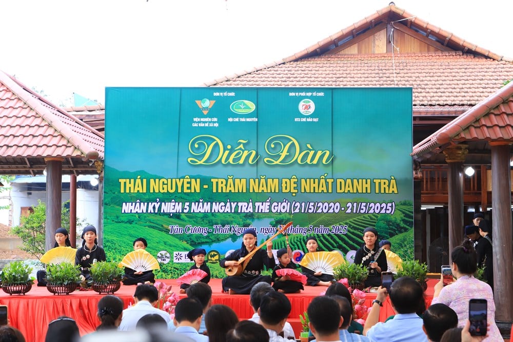 Thái Nguyên - Trăm năm đệ nhất danh trà: Hành trình gìn giữ bản sắc và vươn tầm thế giới - Ảnh 4.