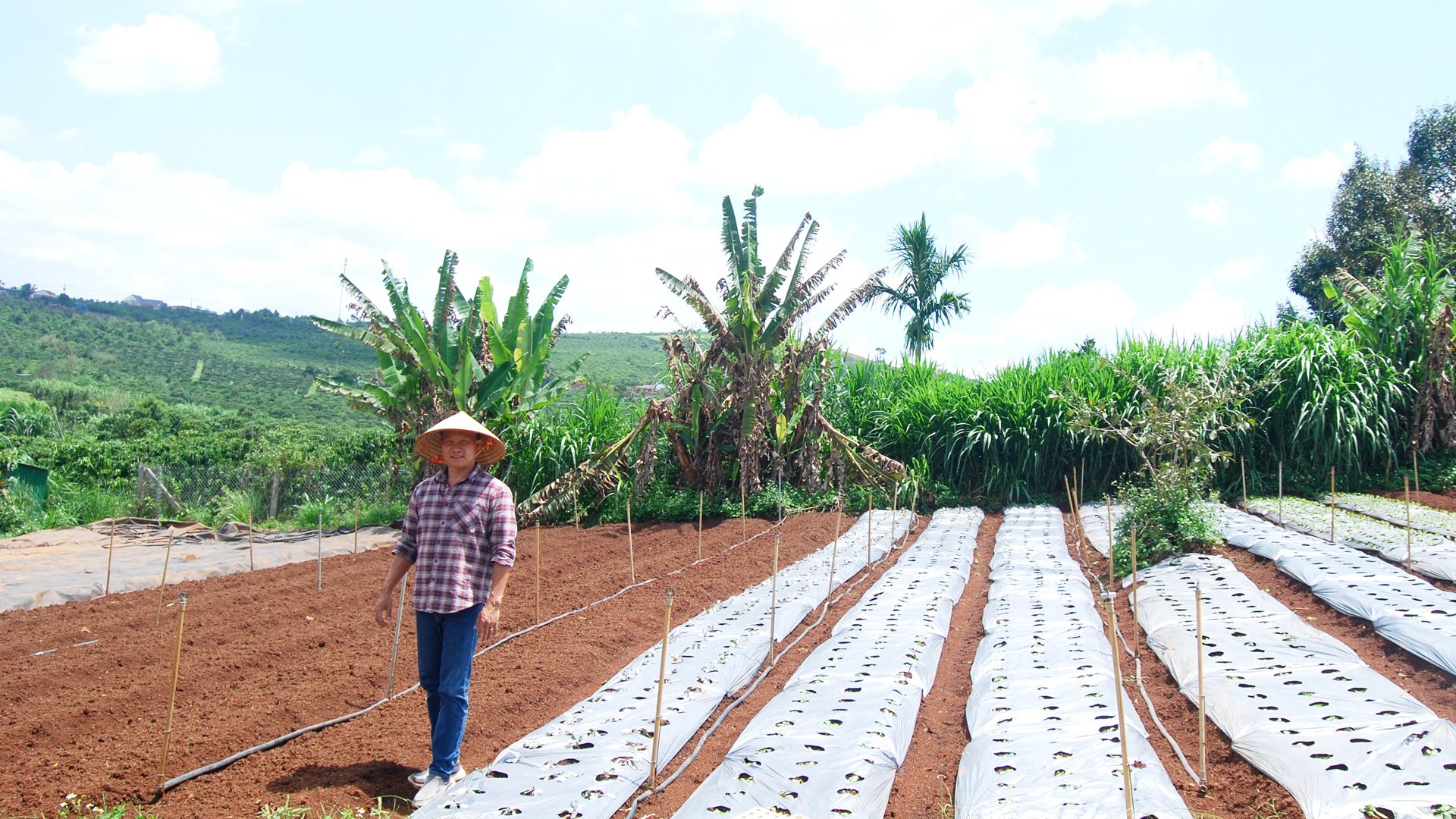 Khu vườn “tiên cảnh” áp dụng giải pháp hữu cơ vi sinh tổng hợp của nông hộ Bùi Ngọc Châu ở xã Hoài Đức, huyện Lâm Hà