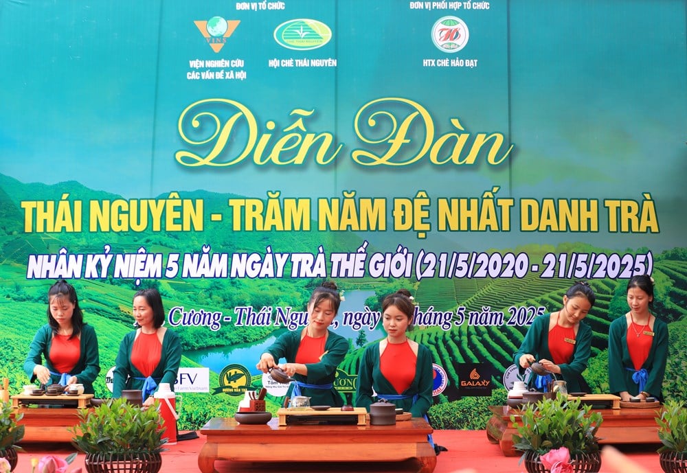 Thái Nguyên - Trăm năm đệ nhất danh trà: Hành trình gìn giữ bản sắc và vươn tầm thế giới - Ảnh 3.