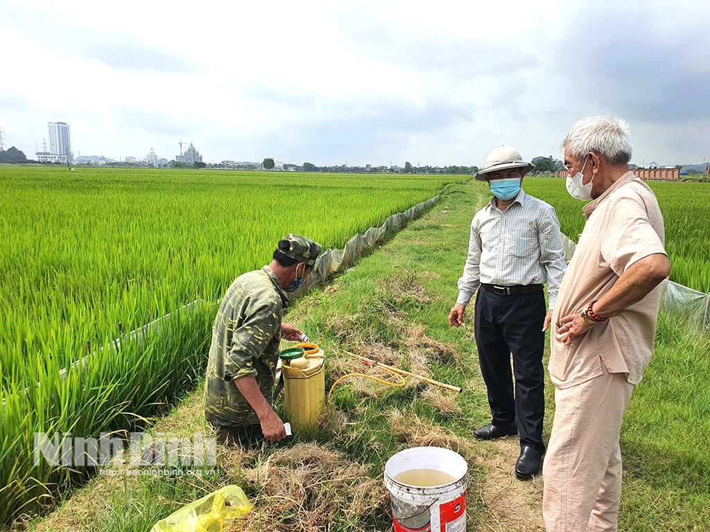 Cán bộ kỹ thuật hướng dẫn nông dân HTX Phong Hòa, phường Ninh Mỹ, thành phố Hoa Lư phun thuốc BVTV.