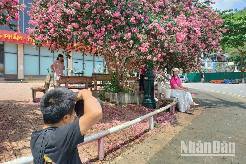 【写真】ソンラに来て、ウォールフラワーズの写真8で「自慢しよう」