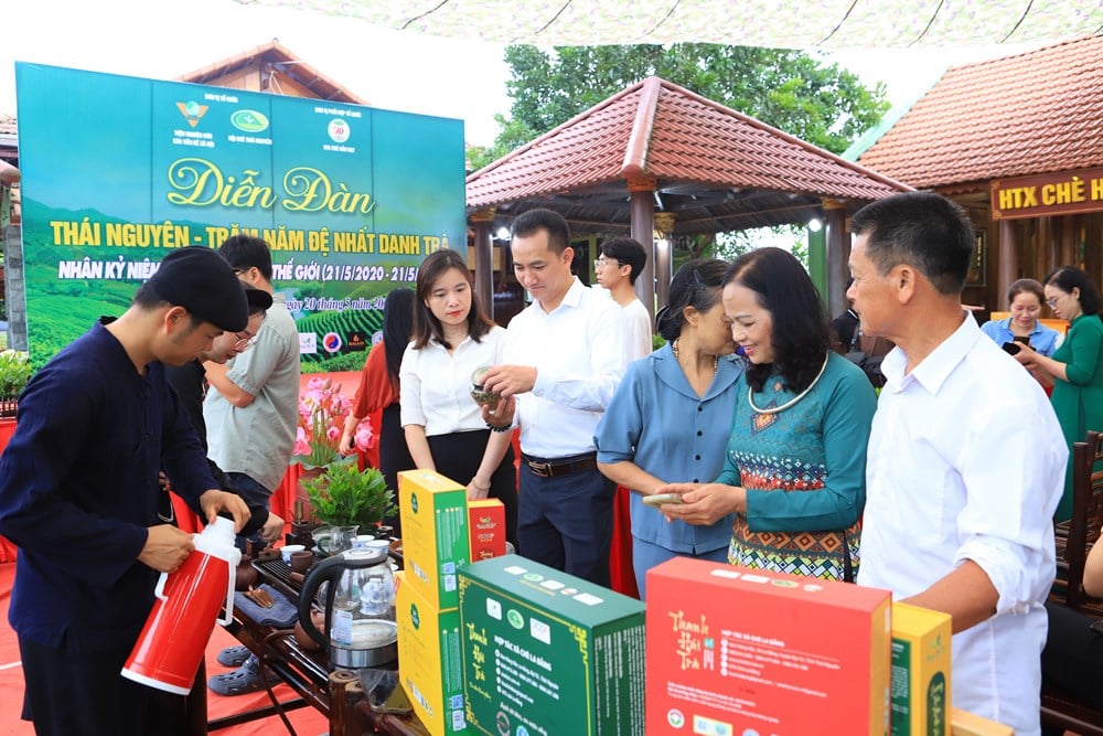 Thái Nguyên - Trăm năm đệ nhất danh trà: Hành trình gìn giữ bản sắc và vươn tầm thế giới - Ảnh 5.