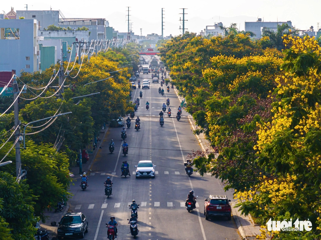 Quy Nhơn - Ảnh 6.