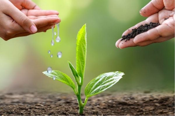 Sinh viên "trường Nhân văn" gieo mầm sống xanh từ những hành động nhỏ- Ảnh 1.