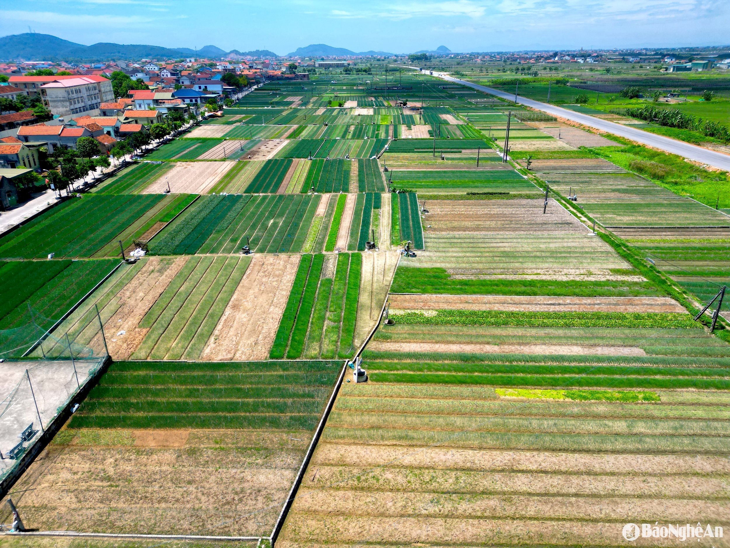 សាលា ១