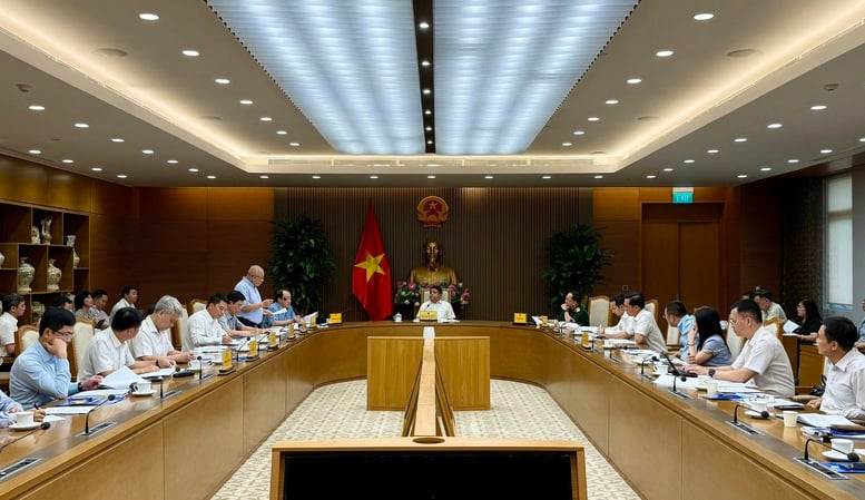 Cơ bản thống nhất nội dung Dự thảo Nghị quyết về đầu tư mở rộng Cảng hàng không quốc tế Phú Quốc- Ảnh 3.