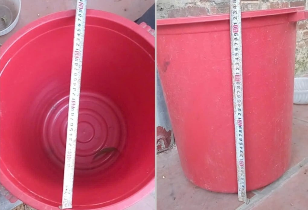 Ngã vào xô chứa nước thải điều hòa, bé 19 tháng tím tái, ngưng thở - 1