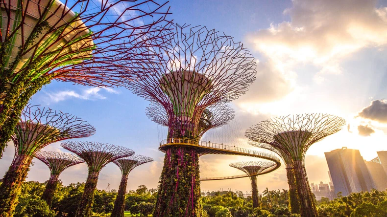  Hợp tác thúc đẩy phát triển du lịch Việt Nam-Singapore ảnh 3