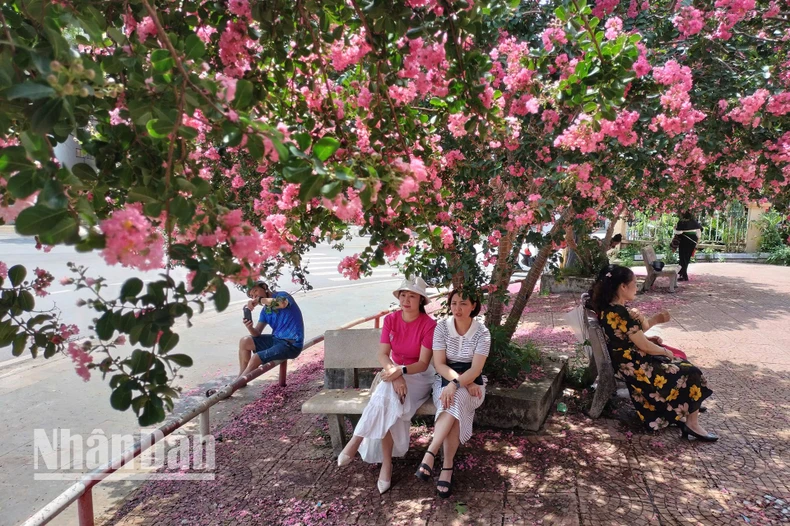 【写真】ソンラに来て、ウォールフラワーズの写真6で「自慢しよう」