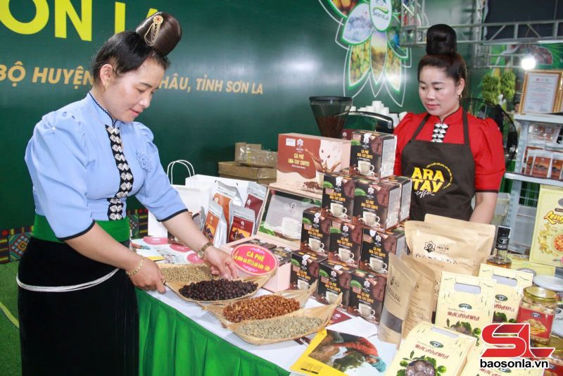Sơn La xây dựng nguồn nhân lực du lịch trước yêu cầu phát triển - Ảnh 8.