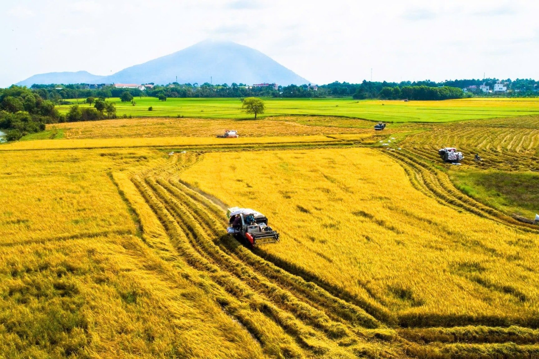 តម្លៃ​អង្ករ​ថ្ងៃ​ទី ២១ ខែ​ឧសភា៖ អង្ករ​ឡើង​ថ្លៃ​បន្តិច អនុផល​បាន​ឡើង​ថ្លៃ