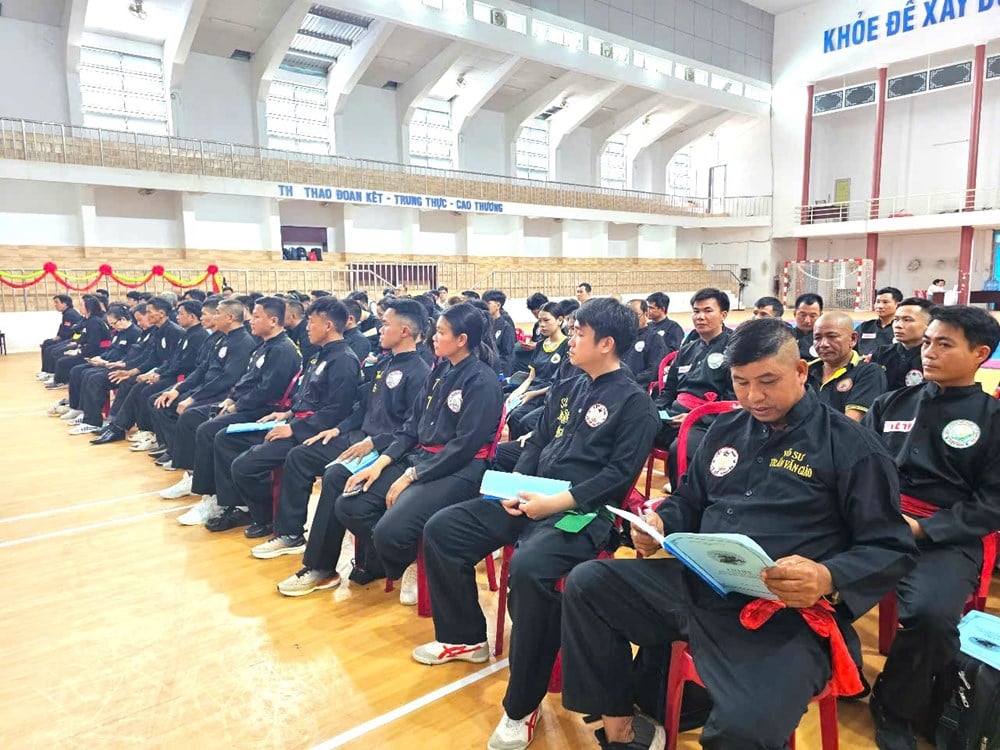 Hơn 100 võ sư, huấn luyện viên tập huấn chuyên môn Võ cổ truyền Bình Định - Ảnh 1.