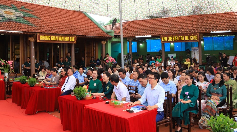 Thái Nguyên - Trăm năm đệ nhất danh trà: Hành trình gìn giữ bản sắc và vươn tầm thế giới - Ảnh 2.