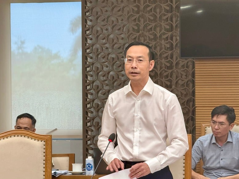 Cơ bản thống nhất nội dung Dự thảo Nghị quyết về đầu tư mở rộng Cảng hàng không quốc tế Phú Quốc- Ảnh 2.