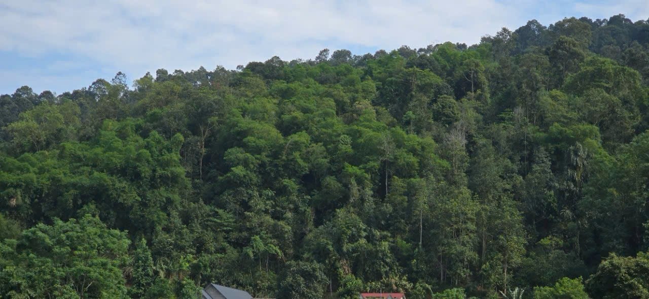 r2.jpg
