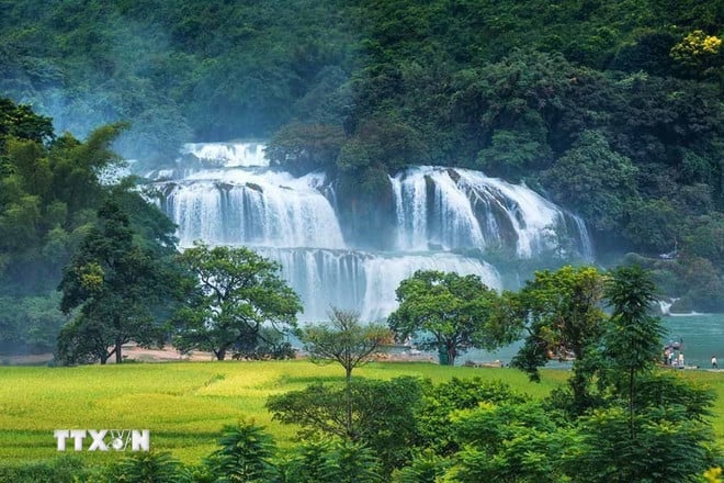 ttxvn-thac-ban-gioc-cao-bang.jpg