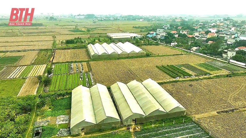 ความเข้าใจที่ถูกต้องเกี่ยวกับการใช้ที่ดินเอนกประสงค์