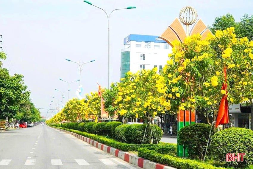 bqbht_br_dt-duong-hoa-do-thi.jpg