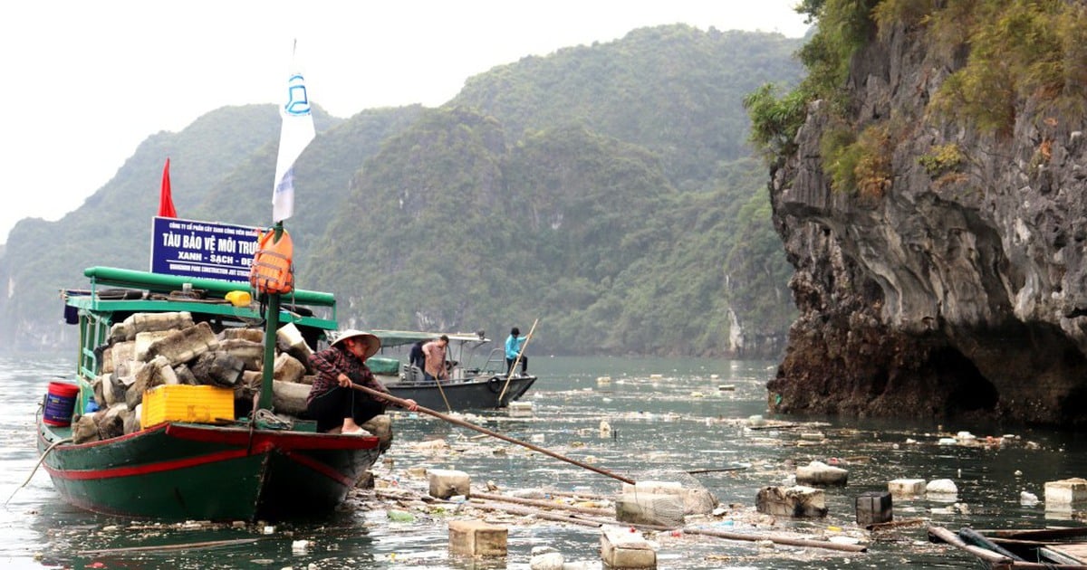 Tàu du lịch vịnh Hạ Long bị dừng hoạt động vì để khách dùng chai nhựa