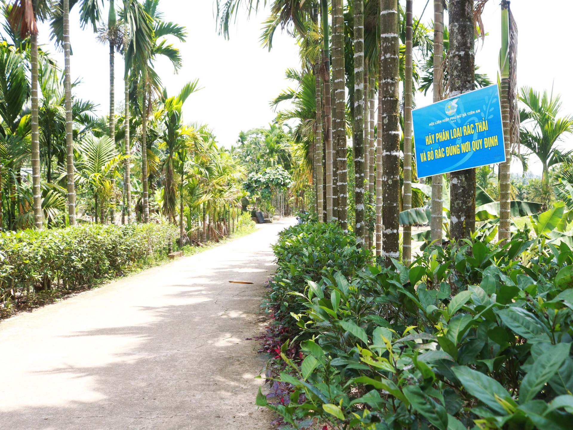 duong_dep.jpg