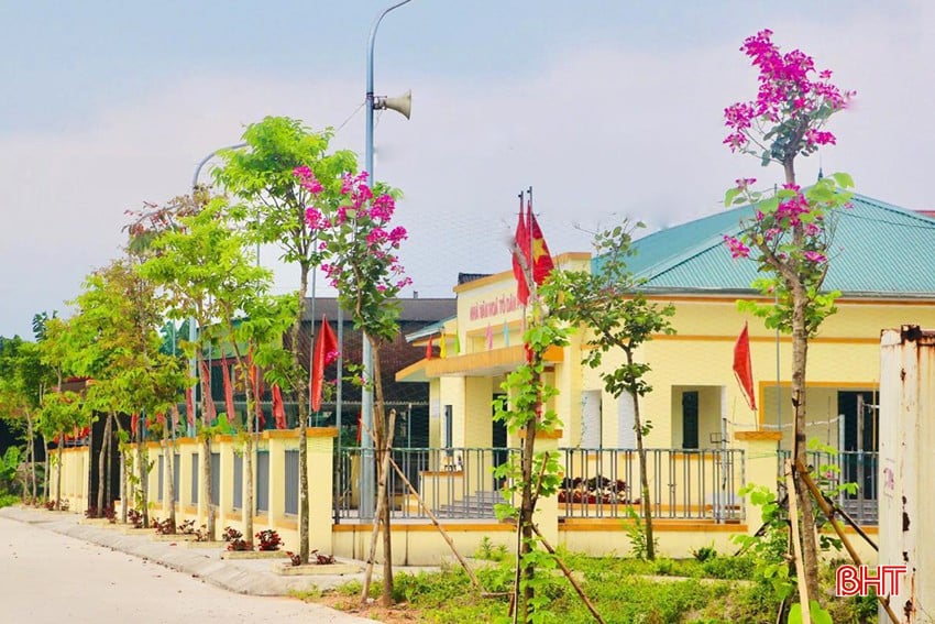 bqbht_br_dt-hoa-ban-nvh-tdp.jpg