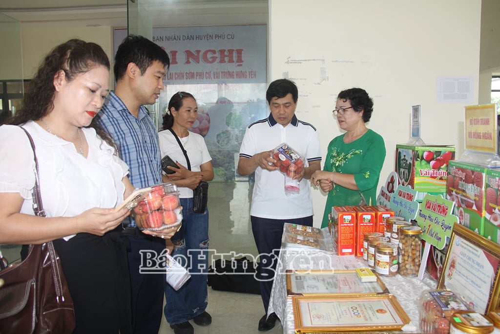 Vải trứng Hưng Yên được trưng bày tại hội nghị xúc tiến