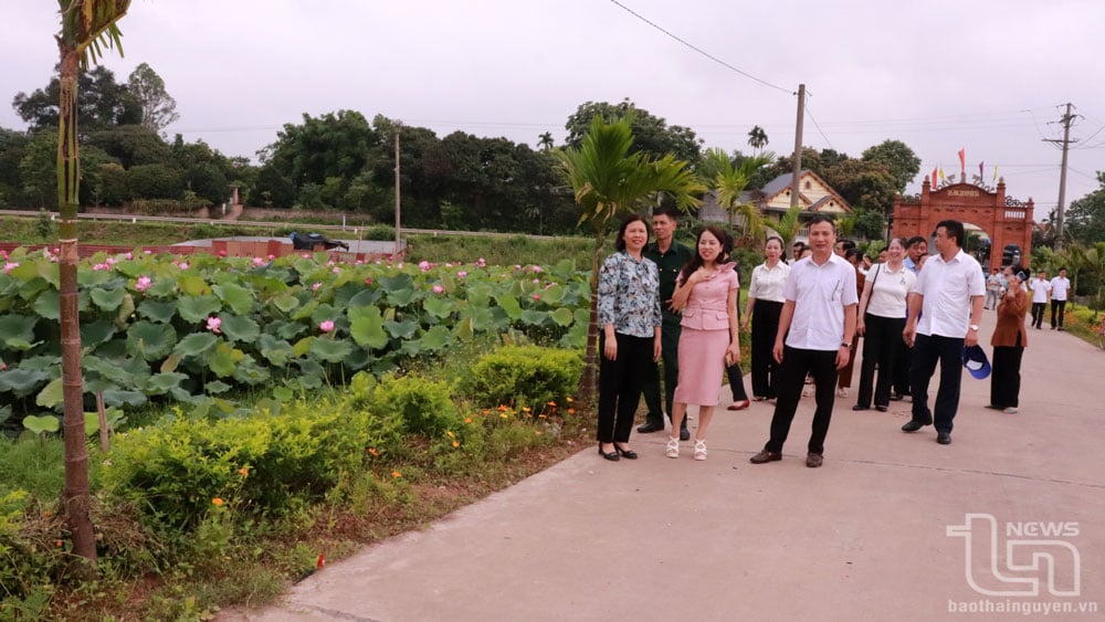 Delegates visited the model of a bright - green - clean - beautiful residential area in Luong Phu commune.