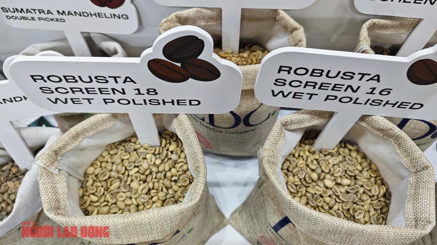 Khu vực cà phê nhân của LDC