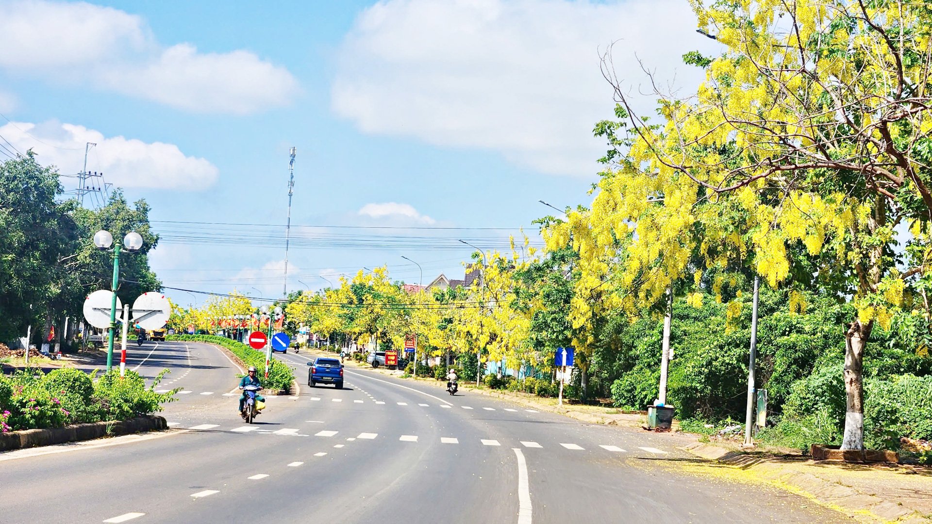 Gia Nghĩa là một trong những thành phố trẻ nhất của Việt Nam, còn được biết đến với cái tên yêu kiều - phố thị hoa vàng