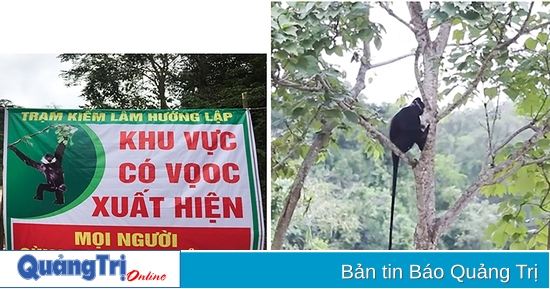 Strengthening wildlife protection and biodiversity conservation